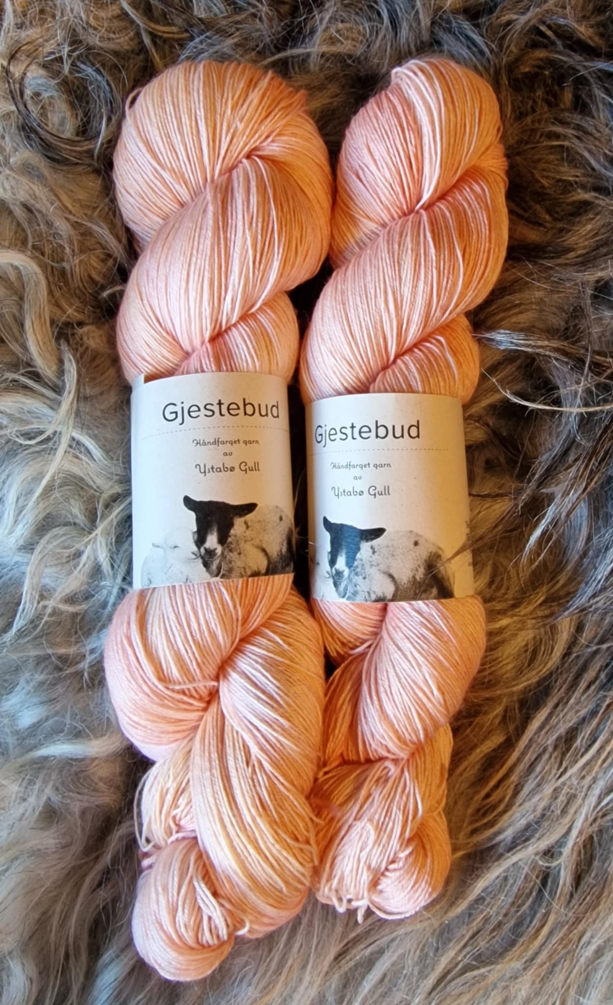 Gjestebud Tynn Silkebris