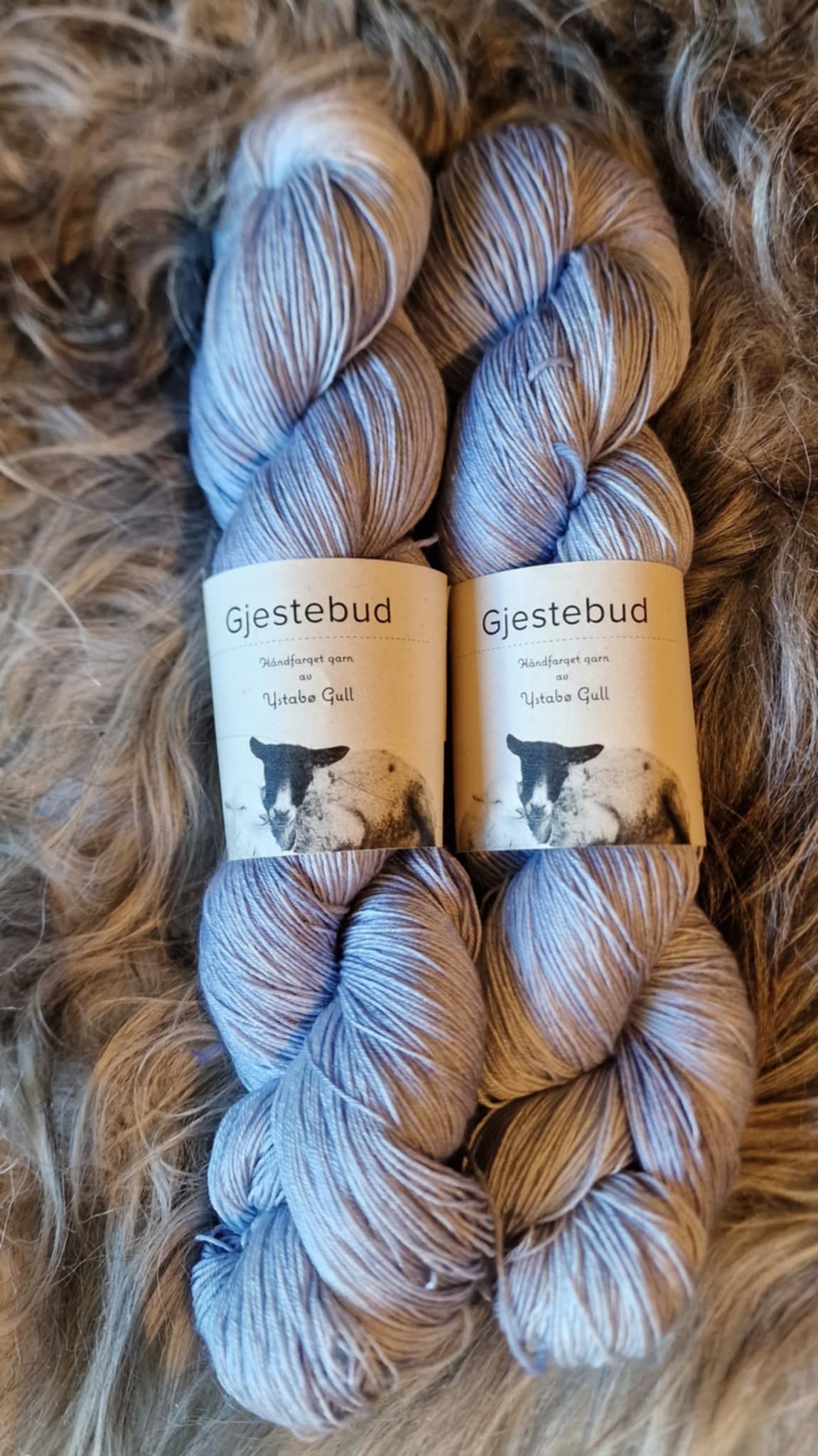 Gjestebud Tynn Silkebris