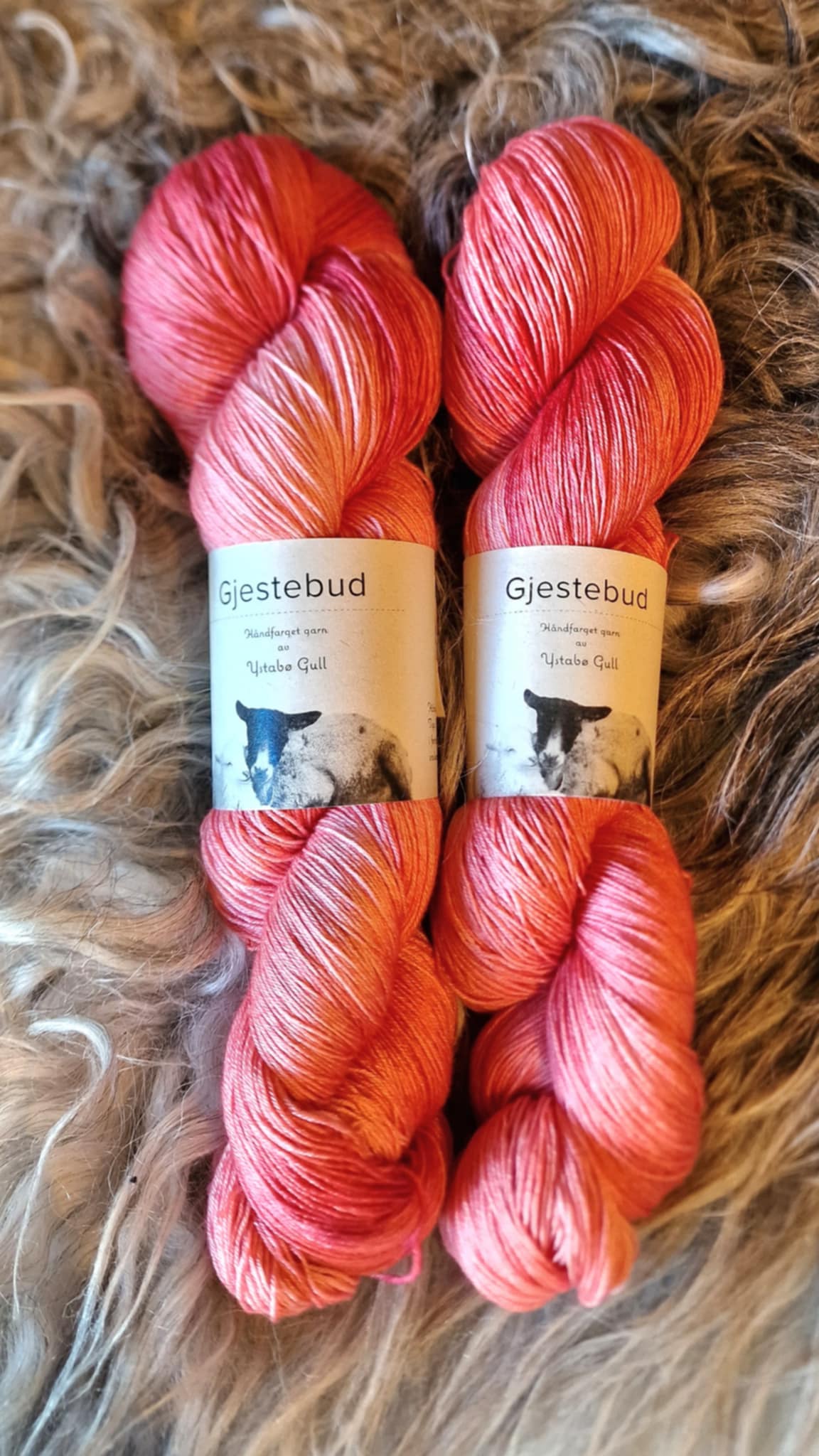 Gjestebud Tynn Silkebris