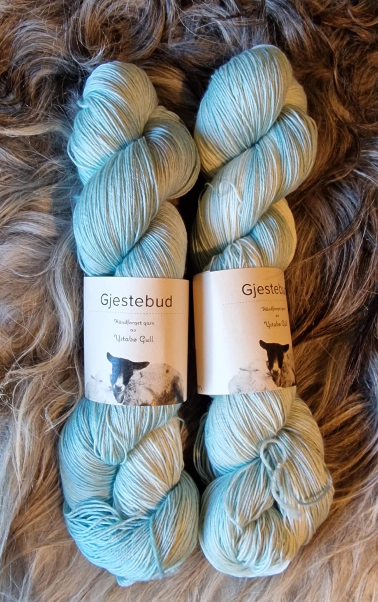 Gjestebud Tynn Silkebris