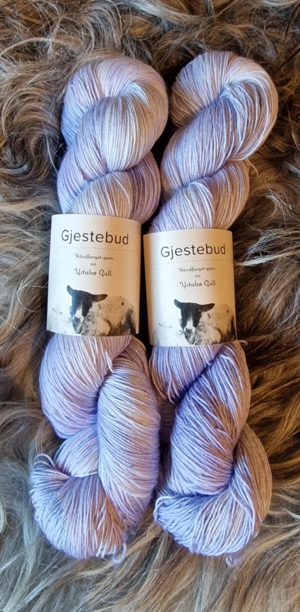 Gjestebud Tynn Silkebris