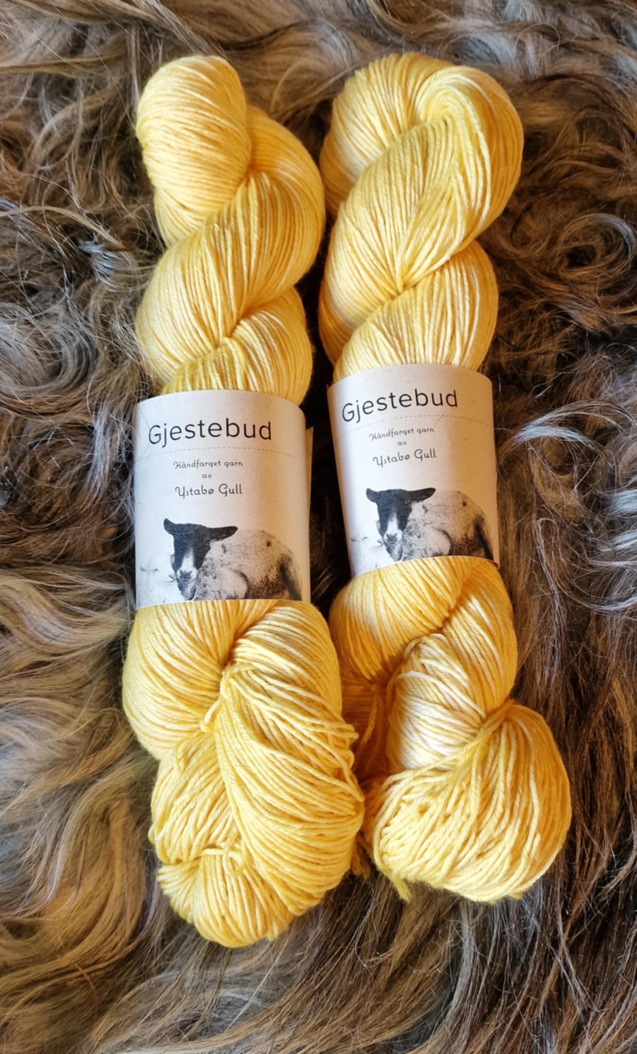 Gjestebud Silkebris