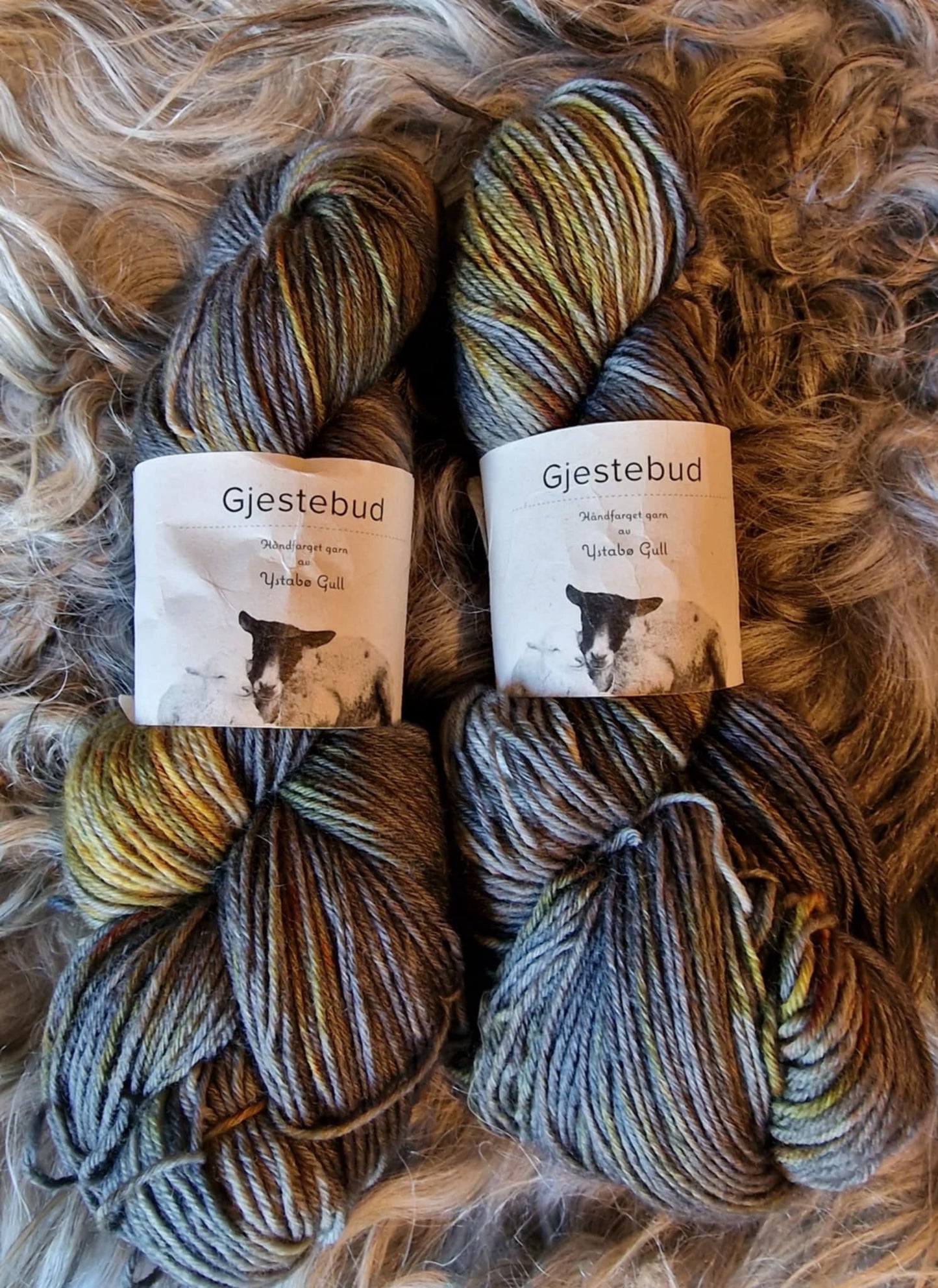 Gjestebud Lun